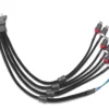 VX-INHARNESS-4CH-RP